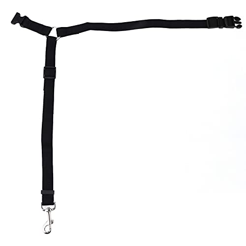 Sahgsa Hunde-Sicherheitsgurt, Nylon, Schwarz, Verstellbar, Professionell, Langlebig, Auto-Sicherheitsgeschirr, Heimtierbedarf (Schwarz) von Sahgsa