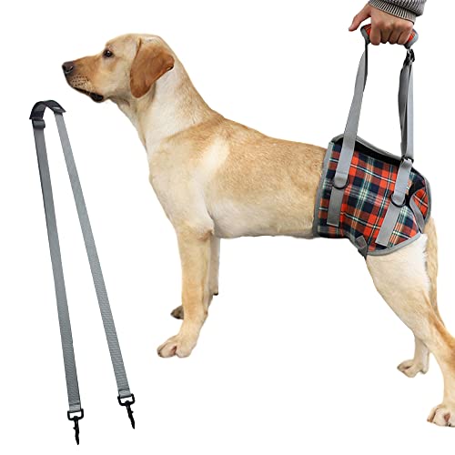 SaiDeng Haustier-Hunde-Bein-Stützschlinge, verstellbar, einziehbar, atmungsaktiv, für ältere Hunde, verletzte Hunde, Verletzungen am hinteren Bein, Arthritis und Behinderungen, Orange Plaid XL von SaiDeng
