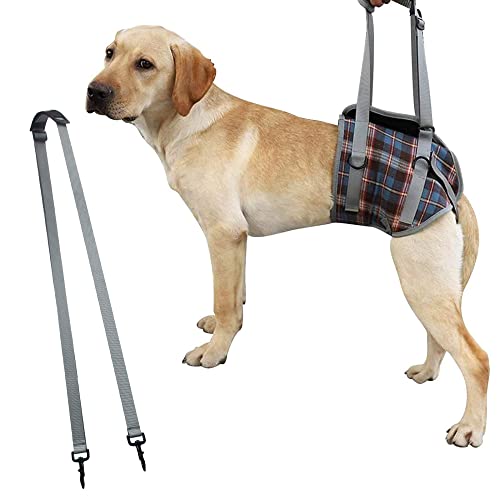 SaiDeng Haustier-Hunde-Bein-Stützschlinge, verstellbar, einziehbar, atmungsaktiv, für ältere Hunde, verletzte Hunde, Verletzungen am hinteren Bein, Arthritis und Behinderungen, blau kariert, XL von SaiDeng