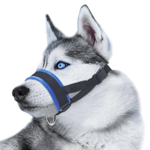 SaiDuoDuo Nylon Hundemaulkorb, Comfort Secure Anti-Barking Hundemaulkorb mit verstellbarem Riemen, Hunde verhindern vor Beißen für mittlere große Hunde,Blau,L von SaiDuoDuo