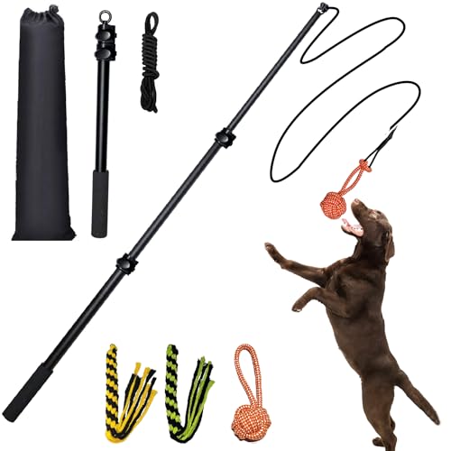 SailStart Flirtstange für Hunde, robust, 101,6 cm, ausziehbar, Aluminiumlegierung, für große, mittelgroße und kleine Schwimmbrillen, interaktives Hundespielzeug für drinnen und draußen SailStart Flirtstange für Hunde, robust, 101,6 cm, ausziehbar, Aluminiumlegierung, für große, mittelgroße und kleine Schwimmbrillen, interaktives Hundespielzeug für drinnen und draußen von SailStart