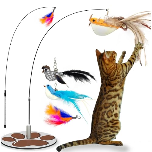 SailStart Interaktives Katzen-Federspielzeug, Tasse, Katzenspielzeug, Katzensaugnapf, Katzenspielzeug für Innenkatzen, Vögel, Katzen von SailStart