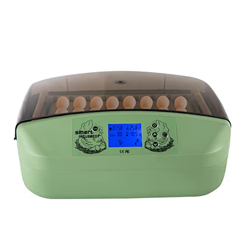32 Eier Smart Mini Inkubator 30-39.5°C Brutmaschine Temperaturregelung Eierinkubator 80W Brutautomat Vollautomatisch mit Automatischem Wenden der Eier und LED, Brutmaschine für Hühner Enten Gänse 32 Eier Smart Mini Inkubator 30-39.5°C Brutmaschine Temperaturregelung Eierinkubator 80W Brutautomat Vollautomatisch mit Automatischem Wenden der Eier und LED, Brutmaschine für Hühner Enten Gänse von SailorMoon