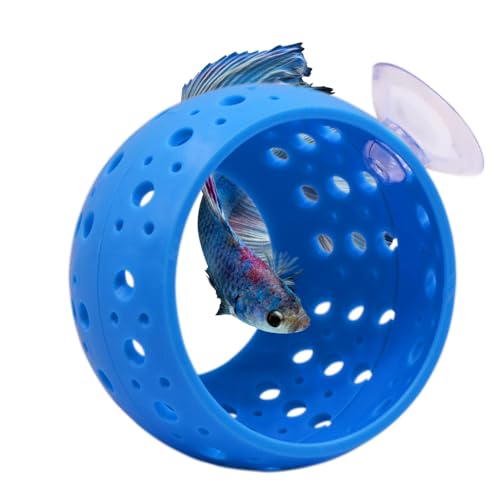 Saim Betta Fischtunnel Spielzeug, Fisch-Lounge Aquarium Betta Fisch Versteck mit Saugnapf Betta Fischhöhle Aquarium Dekor für kleine Fische Garnelen Betta Guppies Verstecken Ausruhen - Blau Saim Betta Fischtunnel Spielzeug, Fisch-Lounge Aquarium Betta Fisch Versteck mit Saugnapf Betta Fischhöhle Aquarium Dekor für kleine Fische Garnelen Betta Guppies Verstecken Ausruhen - Blau von Saim