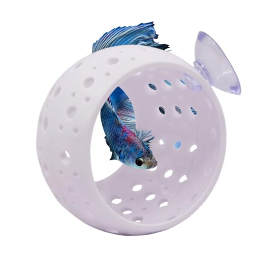 Saim Betta Fischtunnel Spielzeug, Fisch-Lounge Aquarium Betta Fisch Versteck mit Saugnapf Betta Fischhöhle Aquarium Dekor für kleine Fische Garnelen Betta Guppies Verstecken Ausruhen - Weiß Saim Betta Fischtunnel Spielzeug, Fisch-Lounge Aquarium Betta Fisch Versteck mit Saugnapf Betta Fischhöhle Aquarium Dekor für kleine Fische Garnelen Betta Guppies Verstecken Ausruhen - Weiß von Saim