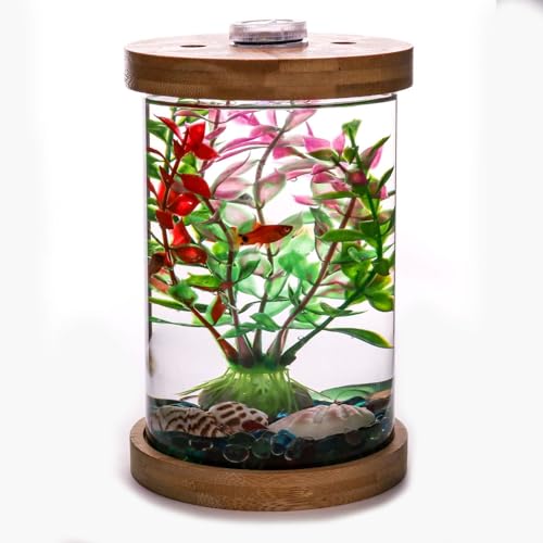 Saim Kleines Betta-Fischtank, Aquarium-Set mit LED-Beleuchtung, Fischglas-Zubehör für Schildkröten, Reptilien, Garnelen, Krabben Saim Kleines Betta-Fischtank, Aquarium-Set mit LED-Beleuchtung, Fischglas-Zubehör für Schildkröten, Reptilien, Garnelen, Krabben von Saim