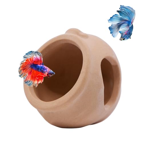 Saim Mini-Keramikglas-Dekoration für Aquarium, Zubehör für Garnelen, Buntbarsche, Zucht, kleine Fischschale, Versteck, Dekoration, Betta-Spielzeug, Versteck Haus 729# Saim Mini-Keramikglas-Dekoration für Aquarium, Zubehör für Garnelen, Buntbarsche, Zucht, kleine Fischschale, Versteck, Dekoration, Betta-Spielzeug, Versteck Haus 729# von Saim