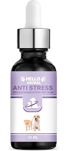 Hello Animal® Beruhigungsmittel Anti Stress Oil – kaltgepresstes pflanzliches Hanföl für Katzen und Hunde – wirkt unterstützend gegen Panikattacken, innere Unruhe und Angststörungen, rezeptfrei von Hello Animal
