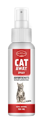 Saint Nutrition® hochdosiert Katzenabwehrspray – Abwehrspray für Innen und Außen, Anti Katzen Abwehr Spray – Katzenfernhaltespray – Erziehungsspray für Katzen und Hunde von Saint Nutrition