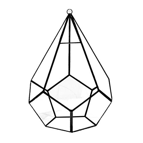 Fünfseitiges Rhombus-Glasregal, geometrisches Sukkulenten-Terrarium, geeignet für Desktop-Dekoration, groß, klares Moos, Pflanzgefäß von Saiyana