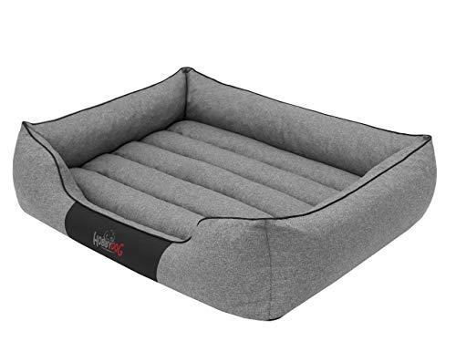 Sales Core Hundebett Hundesofa Hundekissen mit erhöhte Ränder - XXXL: 140 x 115 x 25 cm, Graphit - für kleine, mittelgroße und Ggroße Hunde Hundekörbchen Hundedecke Hundeliege Cord Orthopädisch Sales Core Hundebett Hundesofa Hundekissen mit erhöhte Ränder - XXXL: 140 x 115 x 25 cm, Graphit - für kleine, mittelgroße und Ggroße Hunde Hundekörbchen Hundedecke Hundeliege Cord Orthopädisch von Sales Core