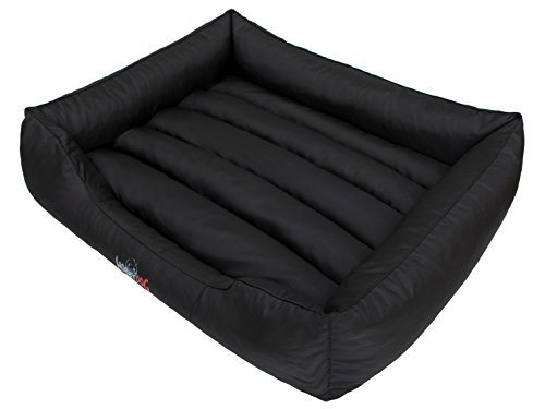 Sales Core Hundebett Hundesofa Hundekissen mit erhöhte Ränder - XXXL: 140 x 115 x 25 cm, Schwarz - für kleine, mittelgroße und Ggroße Hunde Hundekörbchen Hundedecke Hundeliege Cord Orthopädisch Sales Core Hundebett Hundesofa Hundekissen mit erhöhte Ränder - XXXL: 140 x 115 x 25 cm, Schwarz - für kleine, mittelgroße und Ggroße Hunde Hundekörbchen Hundedecke Hundeliege Cord Orthopädisch von Sales Core