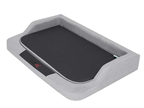 Sales Core Orthopädisches Hundebett Hundekissen - Aschgrau Ecolen - XXL: 120 x 80 x 19 cm Große und Mittelgroße Hunde Hundekorb Orthopädisch Hundekörbchen Kunstleder Sales Core Orthopädisches Hundebett Hundekissen - Aschgrau Ecolen - XXL: 120 x 80 x 19 cm Große und Mittelgroße Hunde Hundekorb Orthopädisch Hundekörbchen Kunstleder von Sales Core
