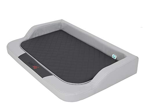 Sales Core Orthopädisches Hundebett Hundekissen - Lux Aschgrau - XL: 94 x 62 x 15 cm Große und Mittelgroße Hunde Hundekorb Orthopädisch Hundekörbchen Kunstleder Sales Core Orthopädisches Hundebett Hundekissen - Lux Aschgrau - XL: 94 x 62 x 15 cm Große und Mittelgroße Hunde Hundekorb Orthopädisch Hundekörbchen Kunstleder von Sales Core