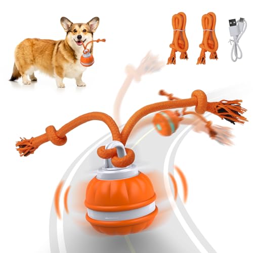 Salodal Hundespielzeug, interaktiv, peppiger Haustierball für Hunde, bewegungsaktivierter beweglicher Ball, automatisch mit langem Schwanz, Teaser, Simulation, Vogelgeräusch, wiederaufladbares von Salodal