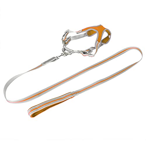 Reflektierende Hundeweste, Hundegeschirr für Kleine Hunde, Hundegeschirr für Mittelgroße Hunde, Weiche Hundeweste, Geschirr für Haustiere, Outdoor-Geschirr für Kleine, Reflektierende Hundeweste, Hundegeschirr für Kleine Hunde, Hundegeschirr für Mittelgroße Hunde, Weiche Hundeweste, Geschirr für Haustiere, Outdoor-Geschirr für Kleine, von Saluaqui