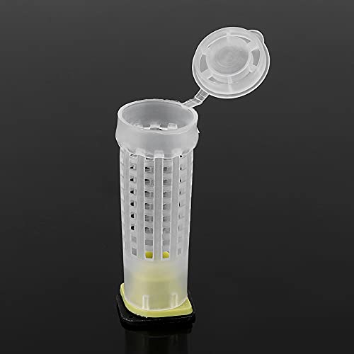 Saluaqui 15pcs Bee Queen Cage Bienekeektor -Werkzeug für Sichere und Einfache Bienenzuchtgeräte Saluaqui 15pcs Bee Queen Cage Bienekeektor -Werkzeug für Sichere und Einfache Bienenzuchtgeräte von Saluaqui