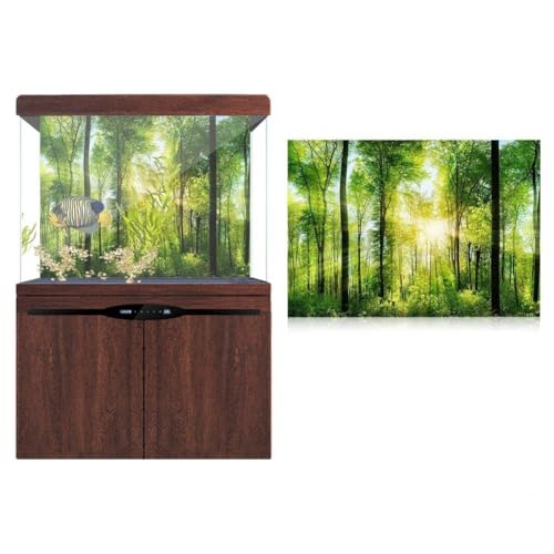 Saluaqui 3D -Effekt -Waldplakat für Aquarium -Fischtankdekoration - Klebstoff, Wasserdicht, PVC -Material, 61 X 41 cm - Realistisch und Modern (122 * 50CM) von Saluaqui