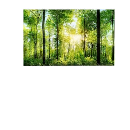 Saluaqui 3D -Effekt -Waldplakat für Aquarium -Fischtankdekoration - Klebstoff, Wasserdicht, PVC -Material, 61 X 41 cm - Realistisch und Modern (122 * 61 cm) von Saluaqui