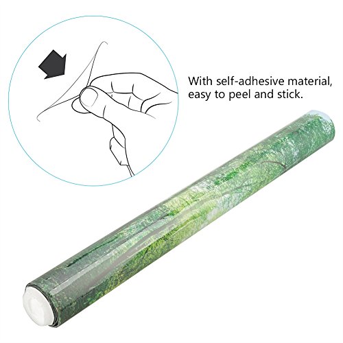 Saluaqui 3D -Effekt -Waldplakat für Aquarium -Fischtankdekoration - Klebstoff, Wasserdicht, PVC -Material, 61 X 41 cm - Realistisch und Modern (61 * 30CM) von Saluaqui