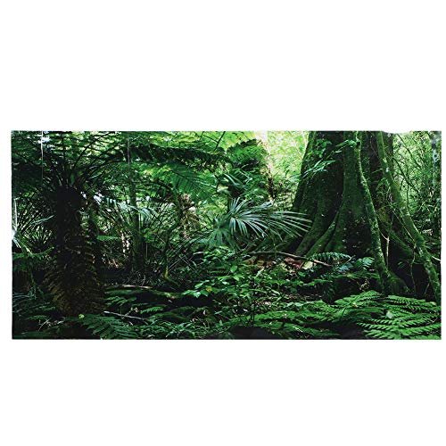Saluaqui Atemberaubender Regenwald-Fischtank-Poster-Selbstkleber 61 X 30 cm Aquariumaufkleber für Reptilienbox, PVC Ungiftiger Hintergrund Wanddekoration (122 * 46cm) von Saluaqui