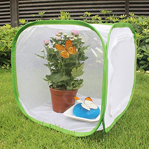 Saluaqui Große Faltbare und Tragbare Belüftete Schmetterlingshauszuchtkäfig mit Reißverschluss und Griff für Einfache Insektenanbau, Sicheres Polyestermaterial (30 * 30 * 30 cm) von Saluaqui