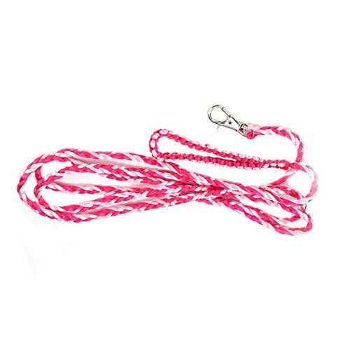 Saluaqui Verstellbares Kleines Haustierkabelbaumleine für Hamster, Meerschweinchen und Eichhörnchen - Nylon Geflochten mit Bell, Blue & Purple, Outdoor Walking and Training Lead (Rosa + Rosenrot) von Saluaqui