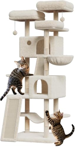 Kratzbaum für Katzen im Innenbereich, Kratzbaum, Spielturm für Katzen – 3 Kratzstangen, 2 Plattformen, 2 Höhlen, 2 Pompons, 1 Hängematte – mit Leiter – Beige Kratzbaum für Katzen im Innenbereich, Kratzbaum, Spielturm für Katzen – 3 Kratzstangen, 2 Plattformen, 2 Höhlen, 2 Pompons, 1 Hängematte – mit Leiter – Beige von Salutmeuble