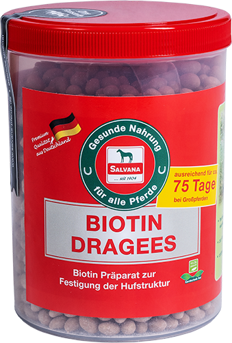 Salvana Biotin Dragees 750g Salvana Biotin Dragees 750g von Salvana