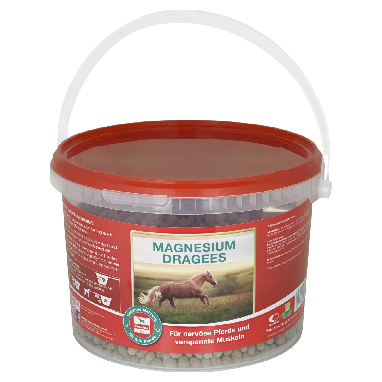 Salvana Magnesium Dragees 3kg Magnesium und B-Vitamine von Salvana
