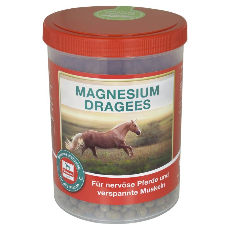 Salvana Magnesium Dragees 750g Magnesium und B-Vitamine Salvana Magnesium Dragees 750g Magnesium und B-Vitamine von Salvana