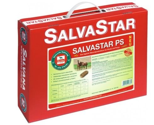 Salvana PS-Brikett 12,5 kg von Salvana