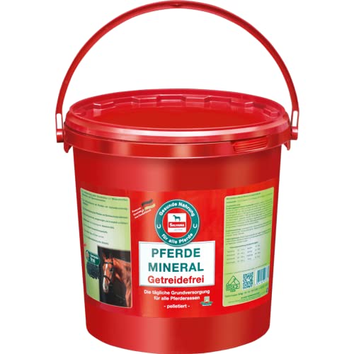 Salvana Pferdemineral getreidefrei 4 kg von Salvana