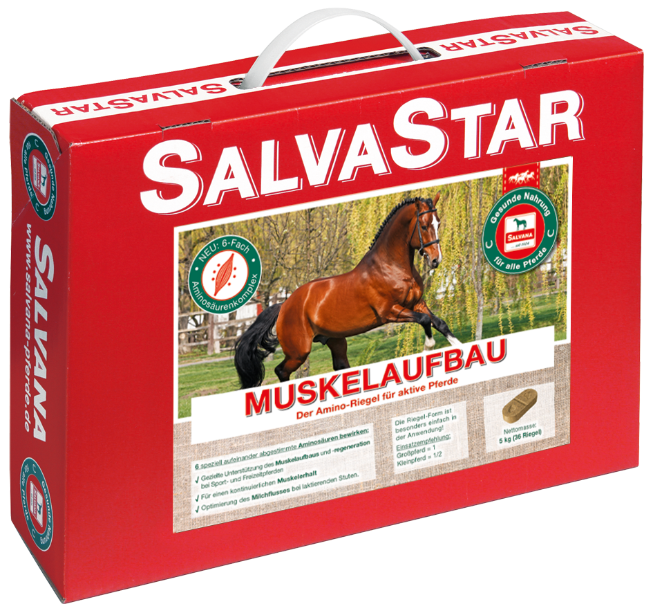 Salvana Salvastar 5 kg Muskelaufbau Muskelerhalt & -aufbau Salvana Salvastar 5 kg Muskelaufbau Muskelerhalt & -aufbau von Salvana