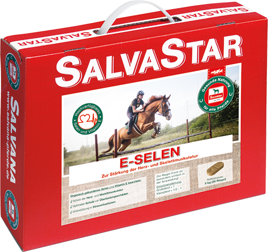 Salvana Salvastar 5kg E-Selen Bisquit Mit Selenhefe Salvana Salvastar 5kg E-Selen Bisquit Mit Selenhefe von Salvana