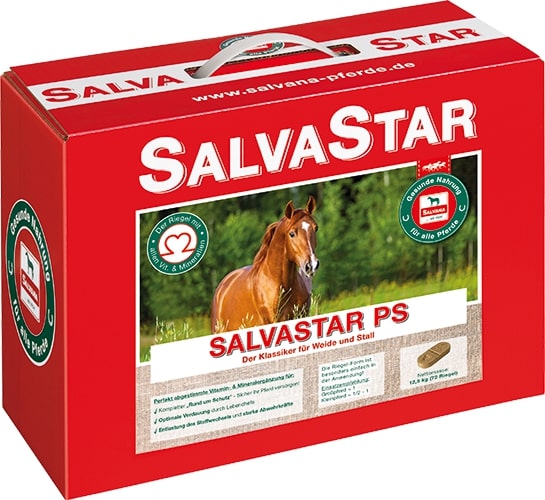 Salvana Salvastar Ps 12,5kg 72 Briketts Salvana Salvastar Ps 12,5kg 72 Briketts von Salvana