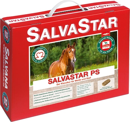 Salvana Salvastar Ps 6,25kg 36 Briketts Salvana Salvastar Ps 6,25kg 36 Briketts von Salvana