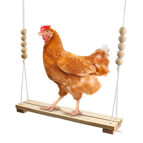 Chicken Swing | Hühnerschaukel Chicken Hanging Swings Spielzeug | Hühnerschaukel aus natürlichen Materialien | Hühner Spielzeug für Chicken Swing Pet Parrot Stand Bar Chicken Swing | Hühnerschaukel Chicken Hanging Swings Spielzeug | Hühnerschaukel aus natürlichen Materialien | Hühner Spielzeug für Chicken Swing Pet Parrot Stand Bar von Salyeeluly