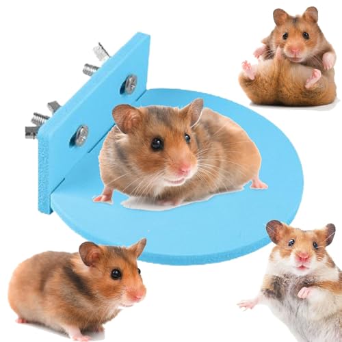 Salyeeluly Aktivitätsbrett für Hamster, rutschfestes Brett für Hamster, stehend, Klettern, Hamsterkäfig-Dekoration, Standbrett, Haustier-Aktivitätsstruktur für Chinchilla, Vogel, Papagei Salyeeluly Aktivitätsbrett für Hamster, rutschfestes Brett für Hamster, stehend, Klettern, Hamsterkäfig-Dekoration, Standbrett, Haustier-Aktivitätsstruktur für Chinchilla, Vogel, Papagei von Salyeeluly