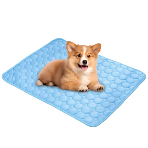Salyeeluly Kühldecke Hund und Katze | Kühlmatte Für Hunde | Selbstkühlende Hundematte | Grosse Hunde rutschfeste Cooling Blanket | Sommer Hundebett für Zuhause Unterwegs oder im Auto, 50x40cm Salyeeluly Kühldecke Hund und Katze | Kühlmatte Für Hunde | Selbstkühlende Hundematte | Grosse Hunde rutschfeste Cooling Blanket | Sommer Hundebett für Zuhause Unterwegs oder im Auto, 50x40cm von Salyeeluly