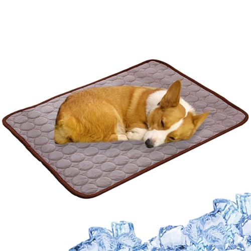Salyeeluly Kühlmatte Katze | Kühlendes Hundebett | Selbstkühlende Kühldecke | Pfotenfrost Matte | Sommer Hundebett Grosse Hunde | Hunde Kühlmatte für Zuhause Unterwegs oder im Auto Salyeeluly Kühlmatte Katze | Kühlendes Hundebett | Selbstkühlende Kühldecke | Pfotenfrost Matte | Sommer Hundebett Grosse Hunde | Hunde Kühlmatte für Zuhause Unterwegs oder im Auto von Salyeeluly