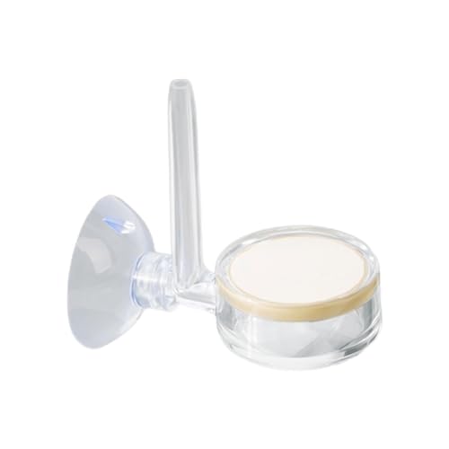 Salyeeluly Nano Co2 Diffusor Glas Reaktor Transparent CO2 Diffusor Effizient Co2 Diffusor Kit No Soak for Aquarium Planted Tank Salyeeluly Nano Co2 Diffusor Glas Reaktor Transparent CO2 Diffusor Effizient Co2 Diffusor Kit No Soak for Aquarium Planted Tank von Salyeeluly
