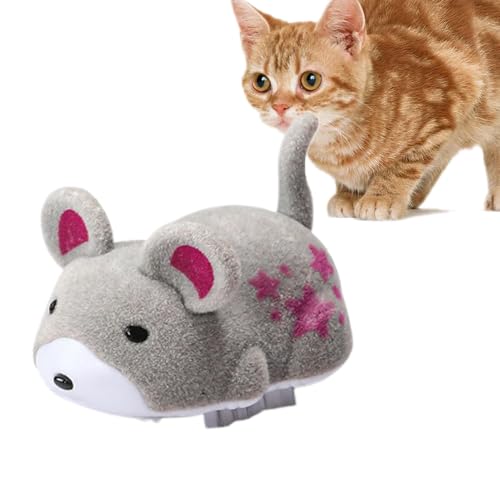 Salyeeluly Quietschender Plüsch-Hamster für Katzen, Plüsch-Simulation, quietschendes Katzenspielzeug, Haustier-Übungsspielzeug mit lustigen Geräuschen für kleine Katzen, mittelgroße Katzen und große von Salyeeluly