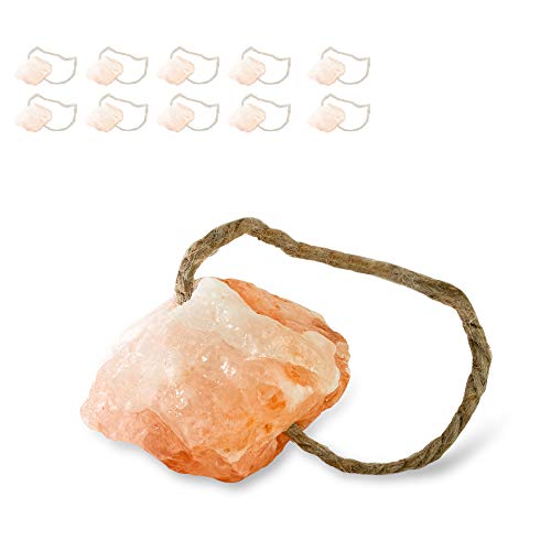 Hochwertiger Salzleckstein “Bergkristall” 8-10 Stück Leckstein mit Kordel, ca. 1 kg, für Kaninchen, Kleintiere, Katzen, Hunde und andere Tiere von N Nagerteppich.de