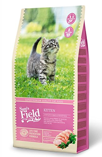 SF Cat Kitten 7,5 kg von Sam's Field