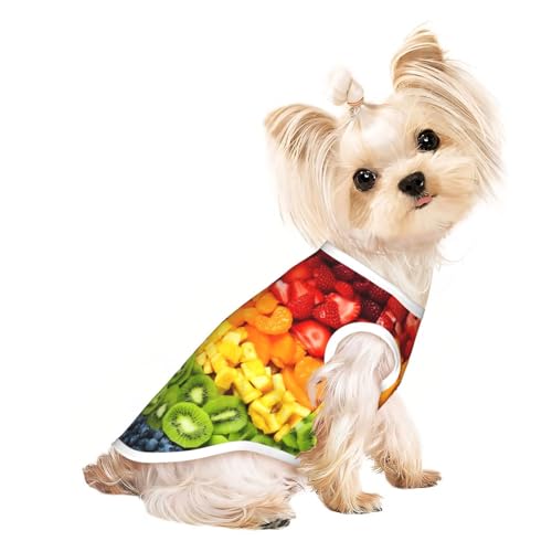 L Pet Atmungsaktives ärmelloses T-Shirt mit Regenbogen-Aufdruck – kleine bis mittelgroße Katzen, Welpen, Yorkie, Dackel, Französische Bulldogge von SamLng