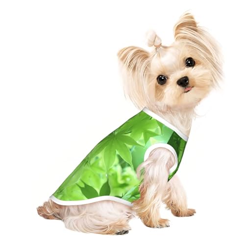 L Pet T-Shirt, atmungsaktiv, ärmellos, grünes Blatt, Naturdruck, kleine bis mittelgroße Katzen, Welpen, Yorkie, Dackel, Französische Bulldogge von SamLng