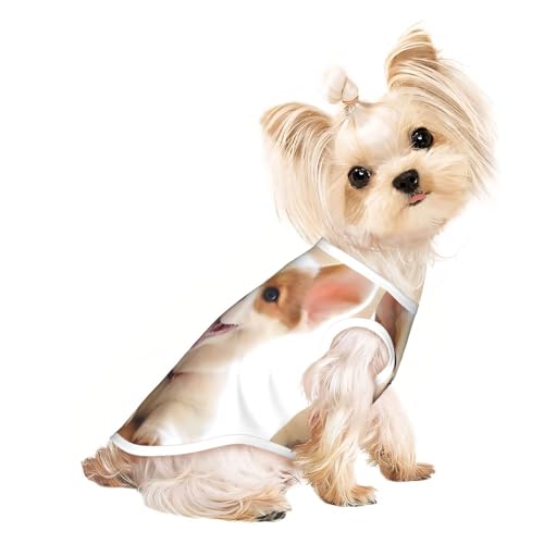 L Pet T-Shirt, atmungsaktiv, ärmellos, liegend mit Zunge aus der Zunge – kleine bis mittelgroße Katzen, Welpen, Yorkie, Dackel, Französische Bulldogge von SamLng