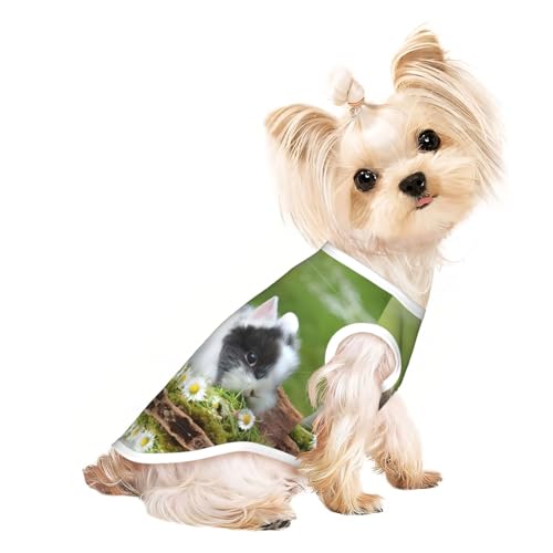 L Pet atmungsaktives ärmelloses T-Shirt mit niedlichem Kaninchen-Aufdruck, kleine bis mittelgroße Katzen, Welpen, Yorkie, Dackel, Französische Bulldogge L Pet atmungsaktives ärmelloses T-Shirt mit niedlichem Kaninchen-Aufdruck, kleine bis mittelgroße Katzen, Welpen, Yorkie, Dackel, Französische Bulldogge von SamLng