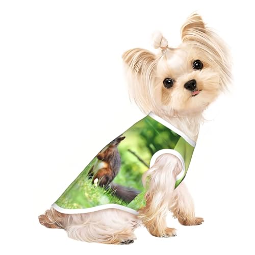 L Pet atmungsaktives ärmelloses T-Shirt mit süßem Eichhörnchen-Druck, kleine bis mittelgroße Katzen, Welpen, Yorkie, Dackel, Französische Bulldogge von SamLng